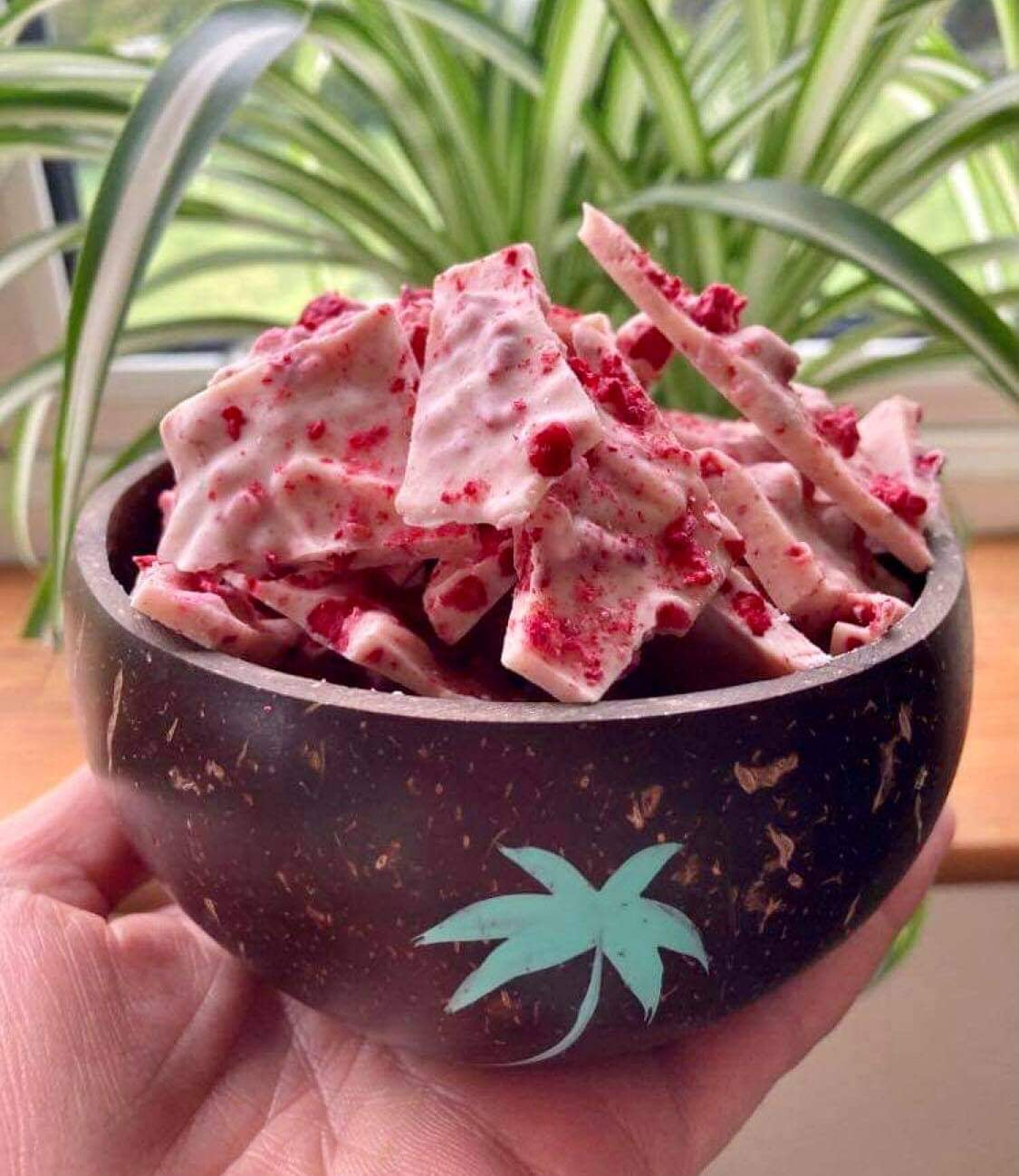 Red Summer Breeze Dessert – Diaita Foods