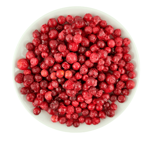 Snack de Lingonberry Liofilizado